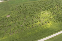 Corn maze at Diary View Country Store.