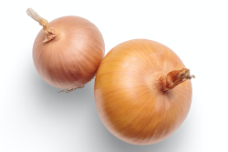 two onions on white background