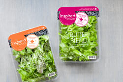 Known for its living lettuce line, The Star Group is debuting Inspired Leaves, a line of five greenhouse-grown salad mixes.