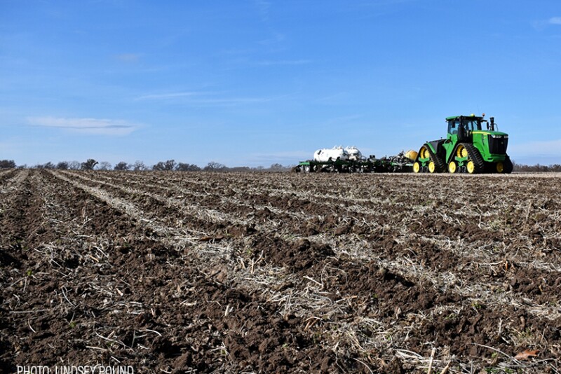 news-800-534 Anhydrous Ammonia Application - Lindsey Pound - November 2022