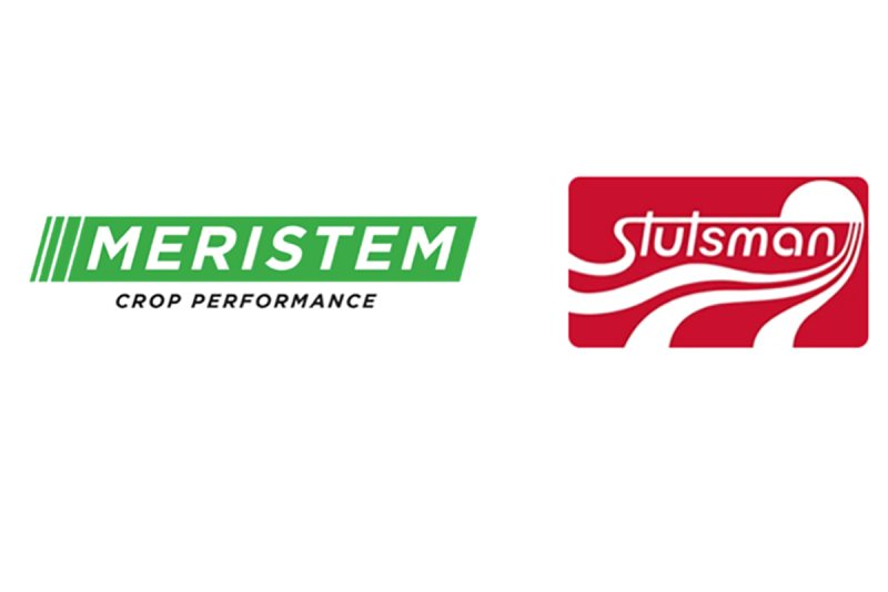 MeristemEldonStutsman.PNG