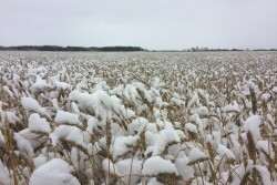 The forecast this week could bring some snow to portions of the country, but Cindi Clawson has bigger concerns about the shot of cold air. 