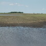 Flood waters, which are different from pooled rain water, may contain sewage, pathogenic organisms, pesticides, chemical wastes, or other toxic substances. 