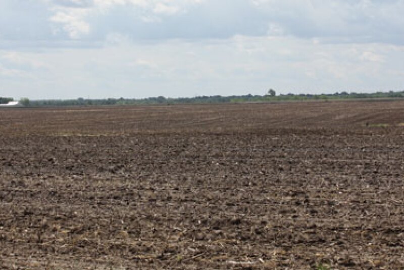 Unplanted Acres Rise Sharply Agweb