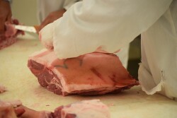 Pork 101 class at the University of Illinois Meats Lab