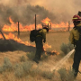 Livestock producers in Montana have been battling multiple wildfires in July, including the 270,200 acre Lodgepole Complex fire.