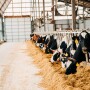 Feeding behavior can signal issues with feed quality, management