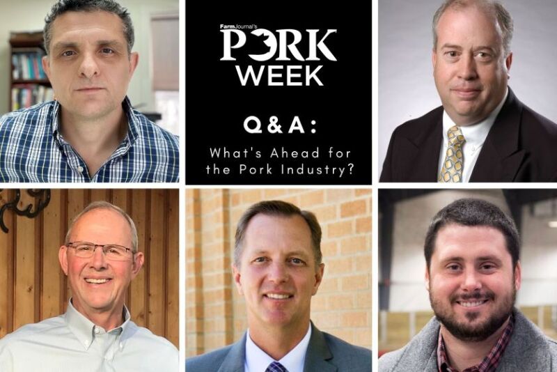 Economists PORK Week