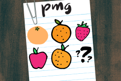 PMG-top20-1-4_header_web_0.png