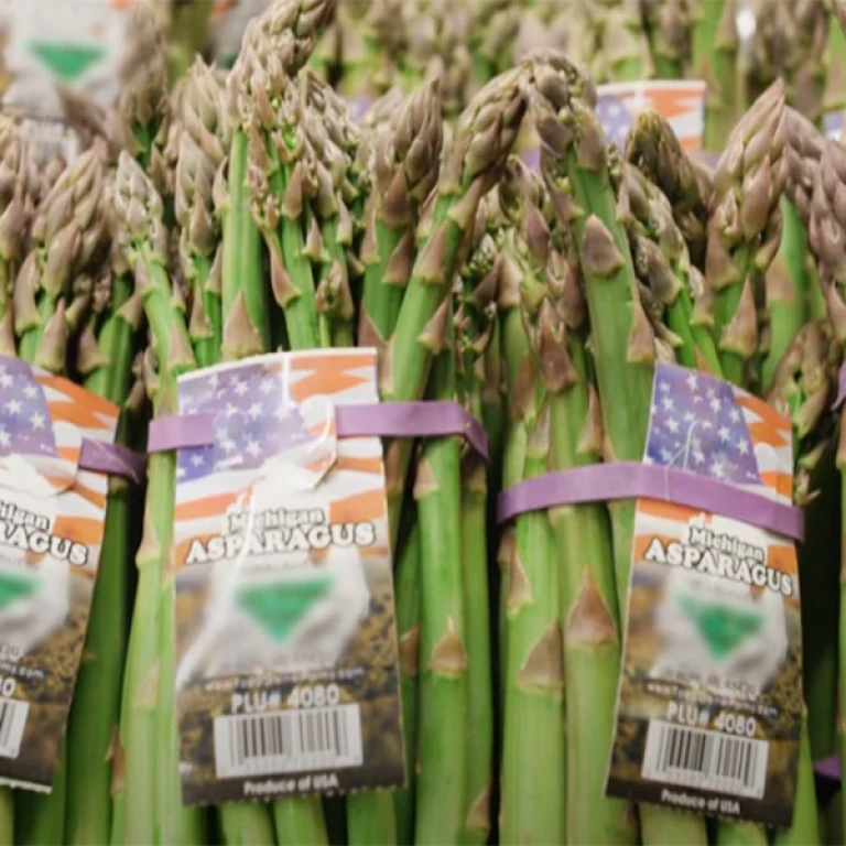 Michigan asparagus. Screenshot courtesy Michigan Asparagus Advisory Board