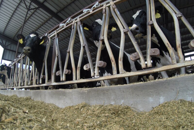Producers from Iowa, Minnesota, Illinois and Wisconsin will benefit from informational conference.