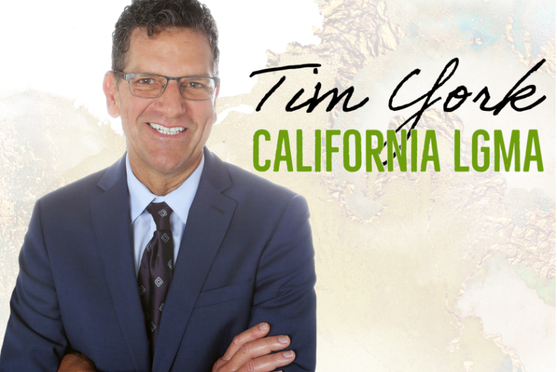Tim York