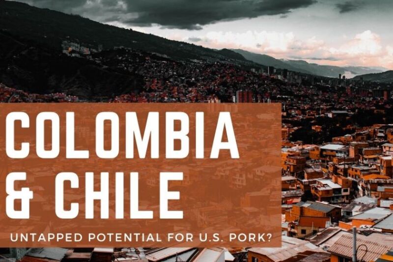 Colombia and Chile Pork Study