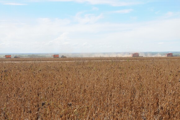 Brazil Soybean Harvest
