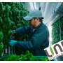 guy in baseball cap harvesting indoor greens