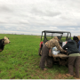 International Beef Cattle Academy - Texas A&M