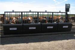 growsafe_bunks