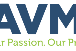 AVMA joins several professional organizations in supporting stronger, standardized licensure requirements for veterinarians and technicians. 