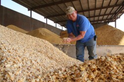 California_dairy_producer-farmer