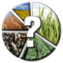 AgriTalk's Chip Flory called the notice "unusual," and says that this could be a sign corn acres are going up nearly 1 million acres from the June planted acreage report, which is the current chatter in the trade this week. 