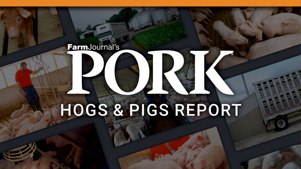 Packing Hogs Johnsonville Closes Illinois Facility: Momence Packing