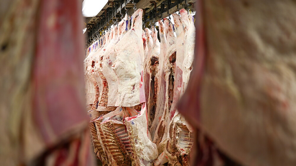 Beef carcasses.
