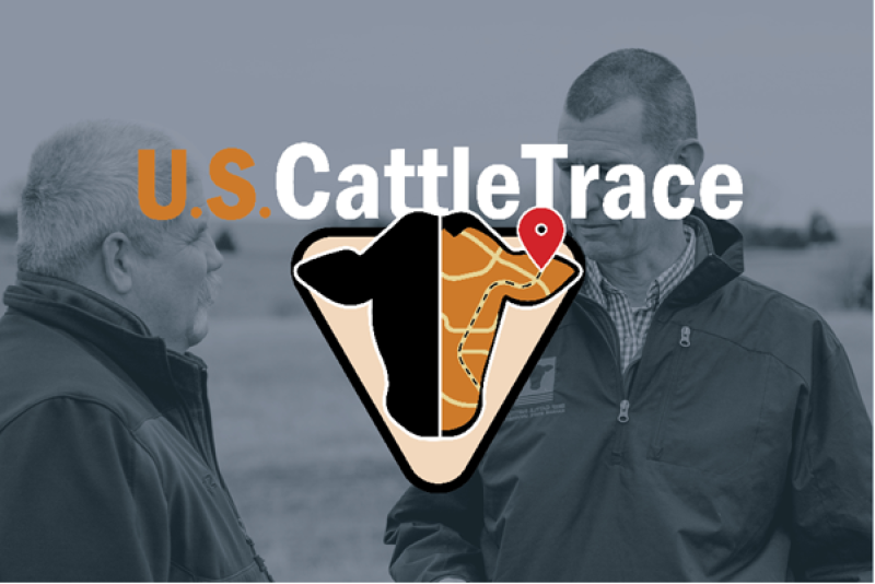 CattleTrace