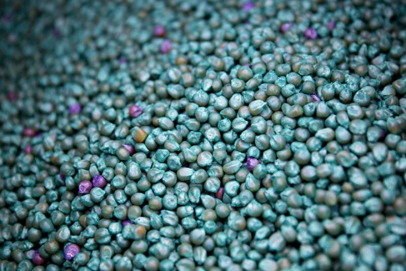 Bayer_Monsanto_Seeds_Bloomberg