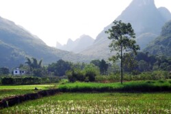 chinese_landscape