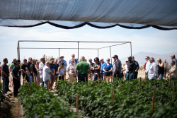 The Packer’s Fifth Annual West Coast Produce Expo will offer three stops on its field tour.