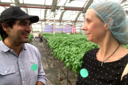 Viraj Puri, cofounder and CEO of Gotham Greens, talks with Amy Sowder, northeast editor of The Packer, during a summer tour for media, at the Brooklyn, N.Y., greenhouse location on top of Whole Foods Market.