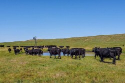 Dumbbell Ranch, Nebraska
