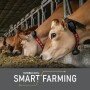 Dairy Smart Farming
