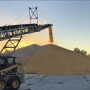 While the latest USDA report confirmed supply situation seems to be growing, one key piece of the puzzle is demand.