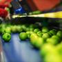 Apple packing