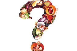 food-waste_0.jpg