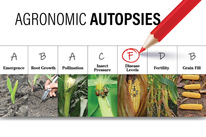 Agronomic Autopsy 