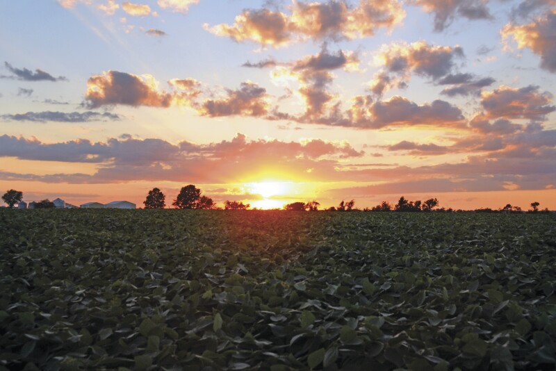 Like the final captain, the duty of closure rightly falls to the last farmer.