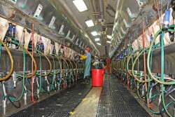 Dairies are closing partly because of changing consumer tastes and trade tensions, but mainly because the industry is continuing a century-long consolidation.