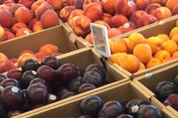 pr_organic-peach-plum-nectarine.jpg