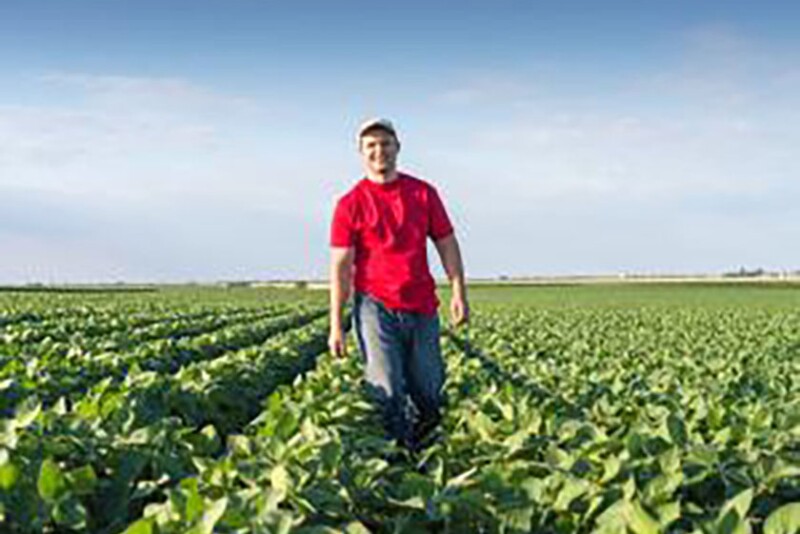 The Fertilizer Institute