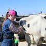 Barb Peterson Sunrise Veterinary Services by Dylan Voyles - preg checking dairy cows
