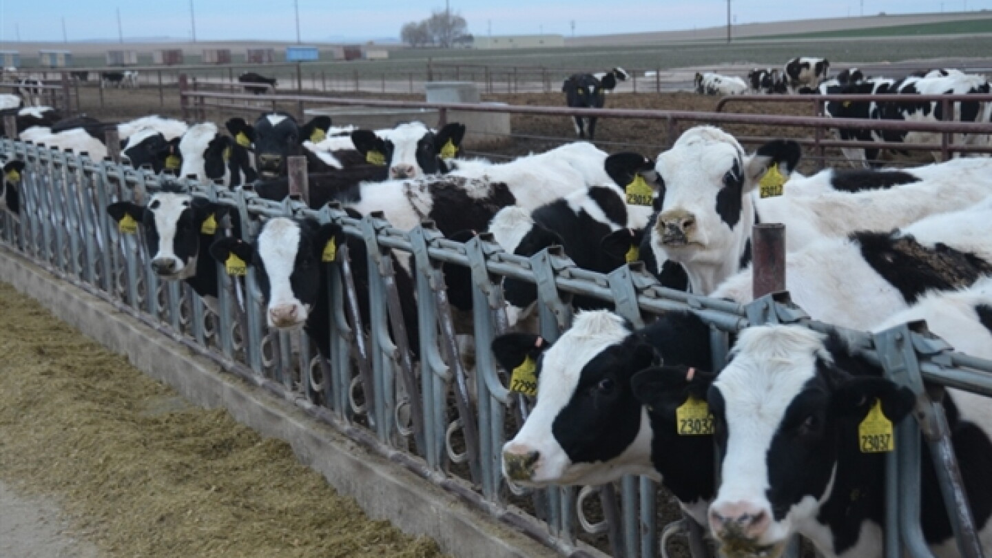 Ruby Named YDLI Distinguished Alumni Leader - Dairy Herd