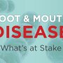 Current vaccine supplies for foot and mouth disease are expired, leaving the health and safety of U.S. livestock at risk