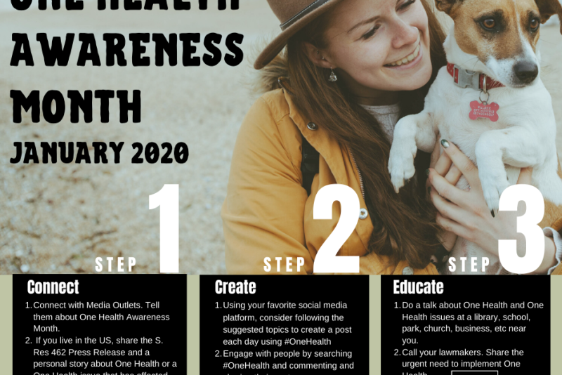 One Health focuses on the linkages between human, animal and environmental health and the need to develop comprehensive solutions. 