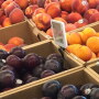 pr_organic-peach-plum-nectarine.jpg