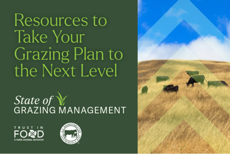 learn the importance of grazing and how to manage... State of Grazing Management: Take Your Next Step - Drovers