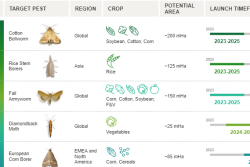 First commercial sales of the FMC pheromone products will be launched as early as 2024. BioPhero has five products in its pipeline with launch dates in the next five years. 