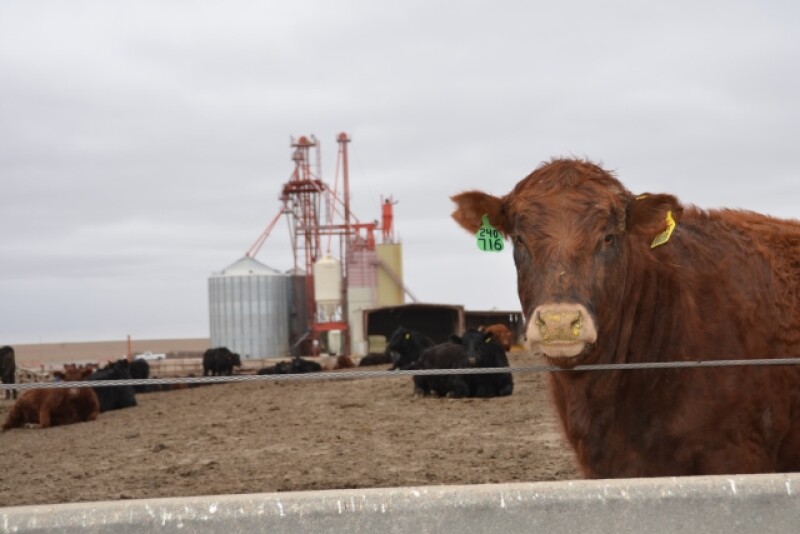 BT_Feedlot_Cattle_Feed_Mill