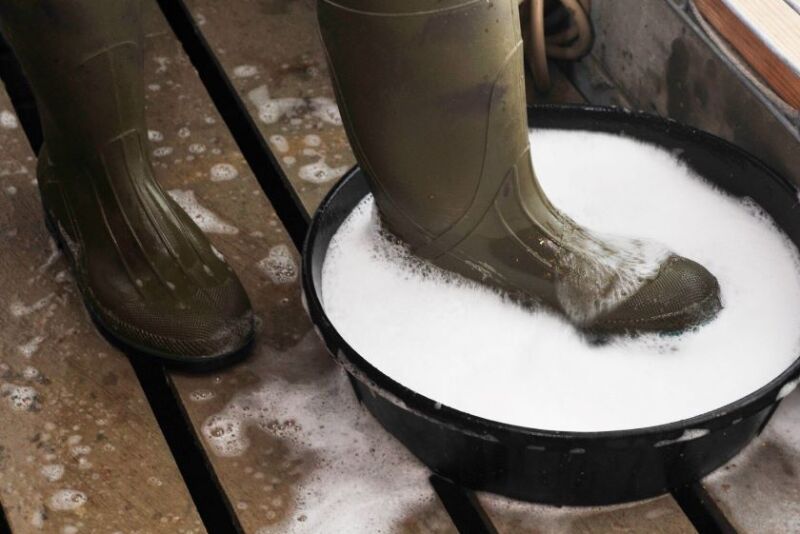 Disinfectant